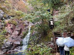 -云岫谷游猎自然风景区