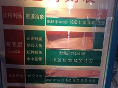 -烟台海昌鲸鲨海洋公园