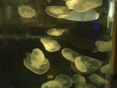 -常州海昌海洋探索馆