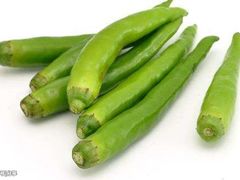 -渔日本料理铁板烧(新天地假日广场店)