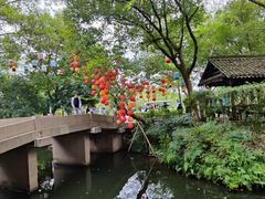 -西溪国家湿地公园