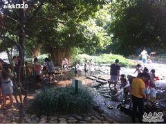 -成都市活水公园