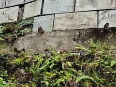 -罗浮山葛仙居菜馆