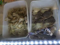 -潮汕铺老店(甜水井店)