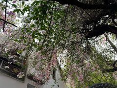 -深圳国际园林花卉博览园