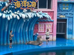 -华夏文旅海洋公园