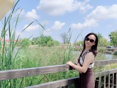 -上海长兴岛郊野公园