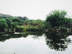 -白马涧龙池景区