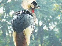 -Sony Store索尼(广州正佳店)