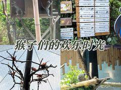 -红山森林动物园