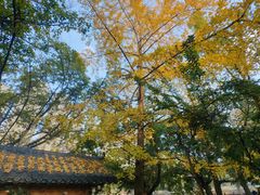 -成都市活水公园