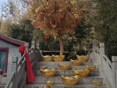 -红螺寺