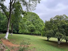-生态园山庄(森林公园店)