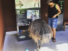 -可伦宾野生动物保护区