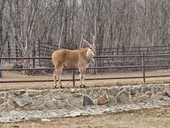 -济南野生动物世界