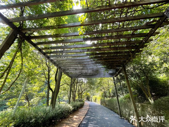 长谷洞天图片