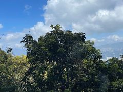 -太平山顶