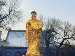 -哈尔滨极乐寺