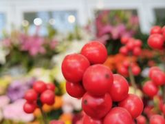 -FEI FEI FLOWER鲜花店·气球派对·宝宝宴布置(虹口德必运动Loft店)