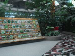 -红栌温泉山庄生态美食餐厅