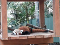 -可伦宾野生动物保护区