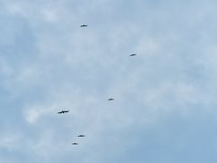 -金巴兰海滩烛光bbq