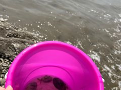 -兴城海滨风景区