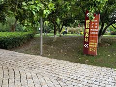 -铁山坪森林公园