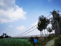 -西青郊野公园