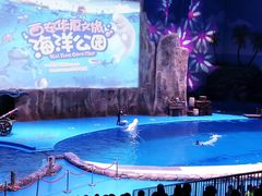 -华夏文旅海洋公园