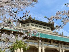 -武汉大学-樱园