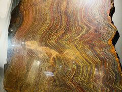 -墨尔本博物馆(Melbourne Museum)