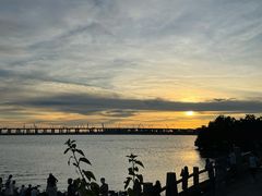 -宝安西湾红树林湿地公园