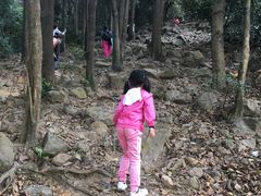 -火炉山森林公园