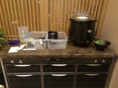 -晓寿司·精致料理(绿地店)