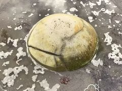 -摩拉基大圆石