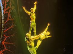 -珠海横琴长隆《卡卡虎奇遇记》