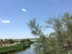 -黄沙古渡原生态旅游区