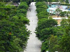 -红花山公园