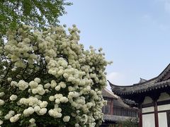 -常熟方塔园