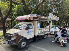 -王借岗森林公园