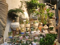 -循礼门鲜花花市(武汉循礼门店)