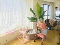 大厅-E.L.K造型momopark店