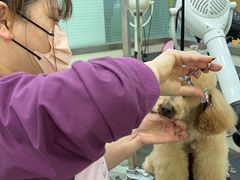 -暖阳宠物医院·犬猫康复中心·骨科