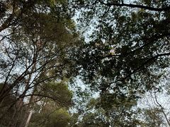 -南国桃园旅游度假区