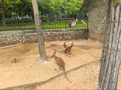 -石家庄市动物园