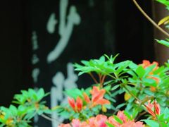 -成都杜甫草堂博物馆