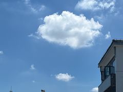 -蟹天蟹地农家菜·阳澄湖大闸蟹(浅水湾店)