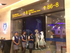 等位区-赫帝拉航空主题餐厅(南宁店)