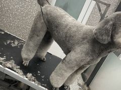 -宠物家(长阳店)